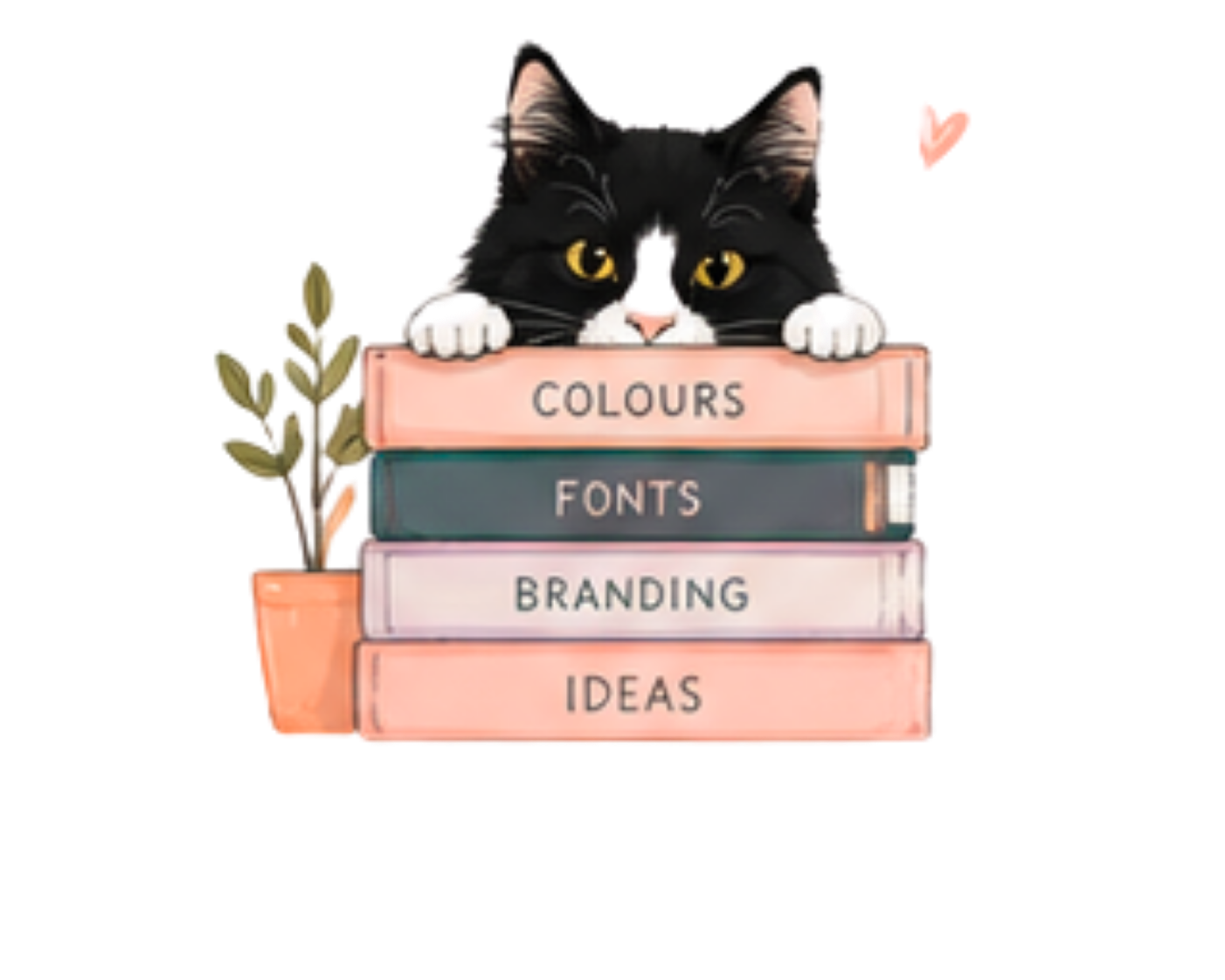 Socks researching branding ideas